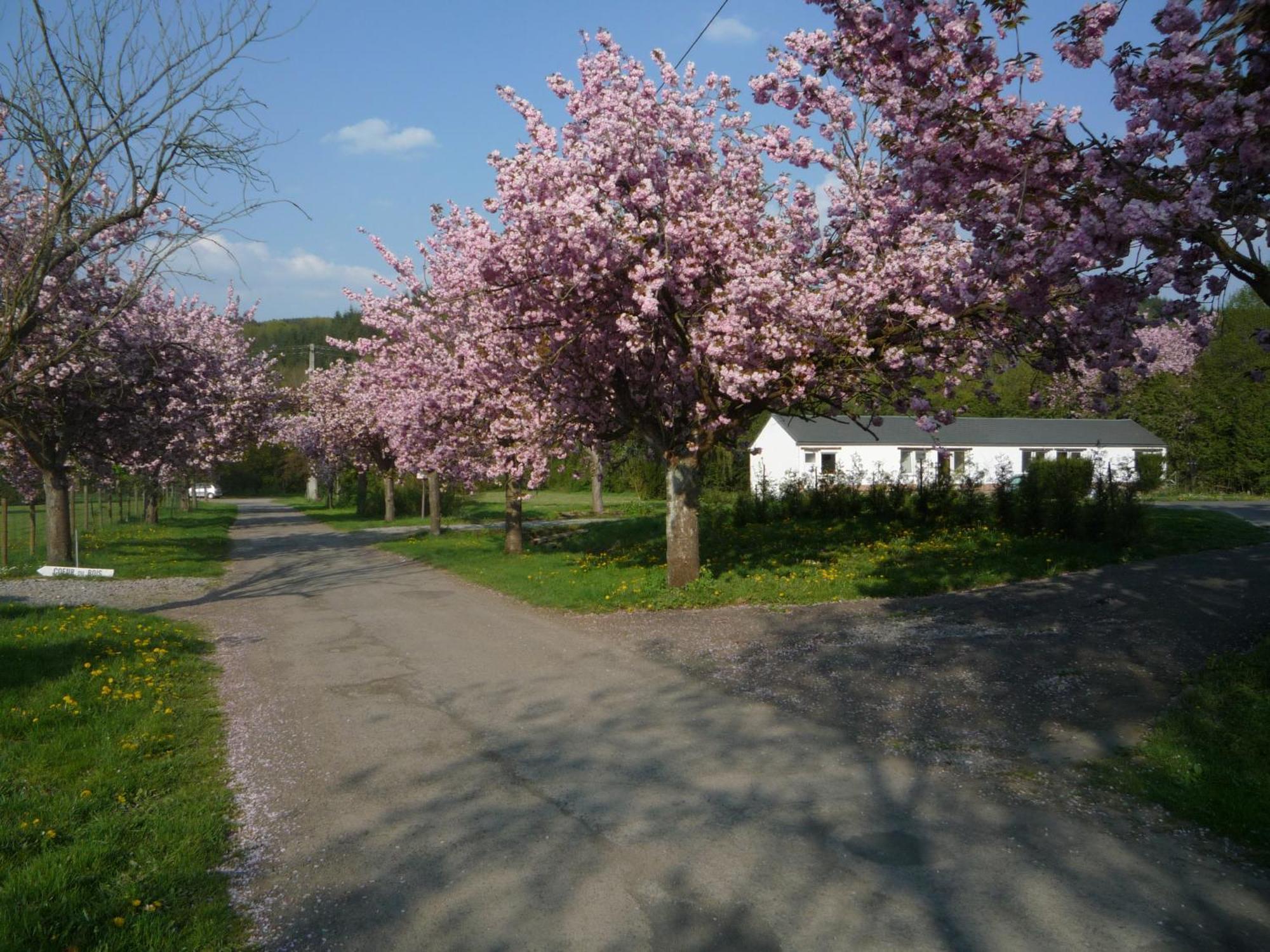 Motel Le Brissoneau Rendeux Esterno foto